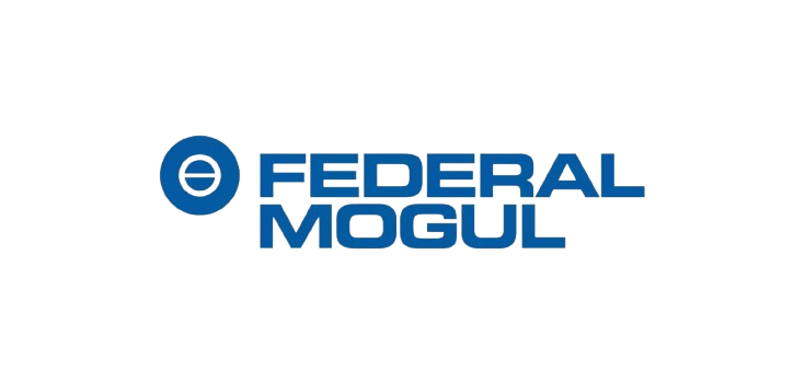 قطعات موتور بنز ده تن و مایلر FEDERAL MOGUL فدرال موگول – کیفیت اصلی و بادوام