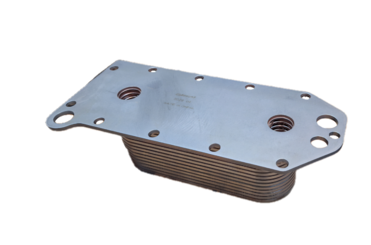 روغن سردکن دانگ فنگ