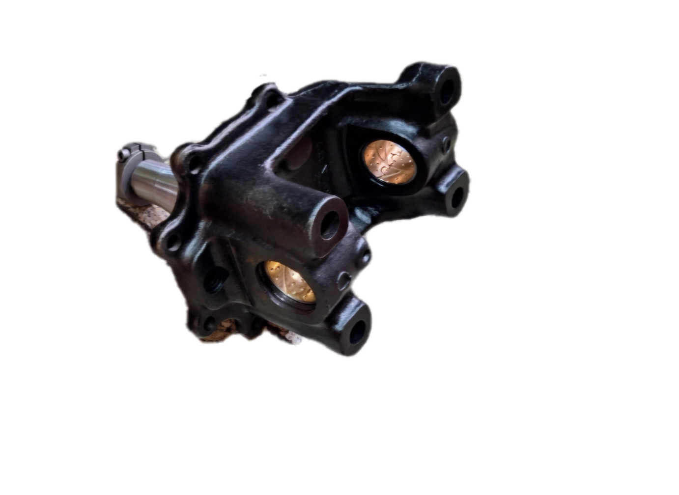 سگدست ده تن