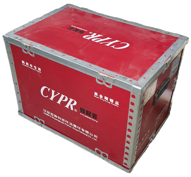 بوش پیستون کشنده دایون