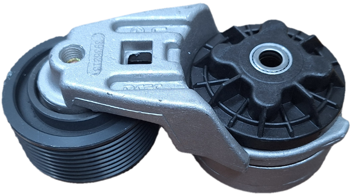 تسمه سفتکن البرز