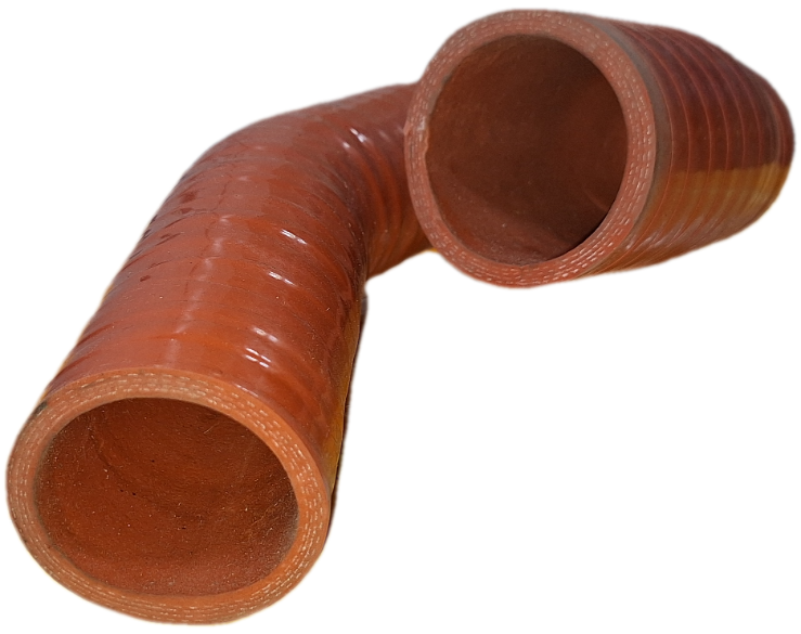 جنت ریتارد دایون