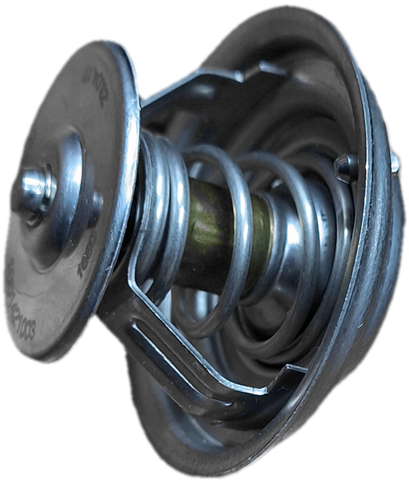 ترموستات دایون کشنده