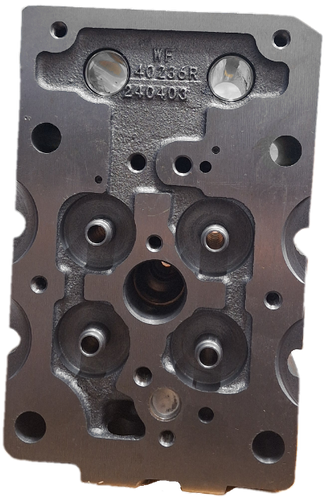 سرسیلندر دایون نیوفیس