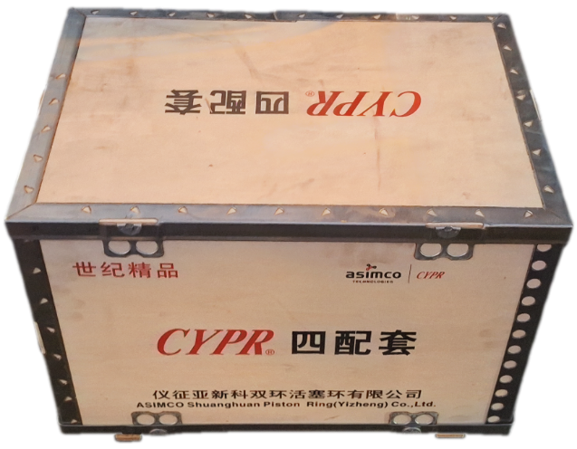 بوش پیستون البرز