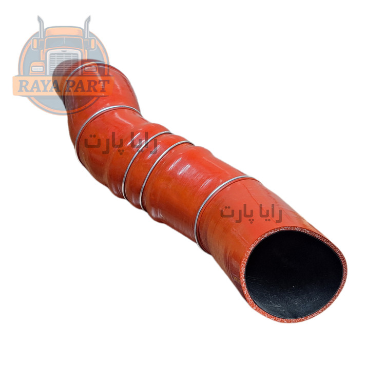 جنت اینترکولر دایون