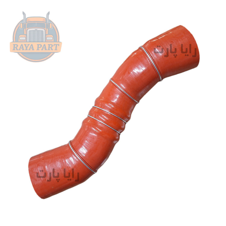 جنت سیلیکونی دایون